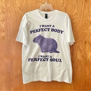 Radiohead Creep capybara I Want a Perfect Body I Want a Perfect Soul t-shirt, L
